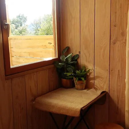 Tiny House